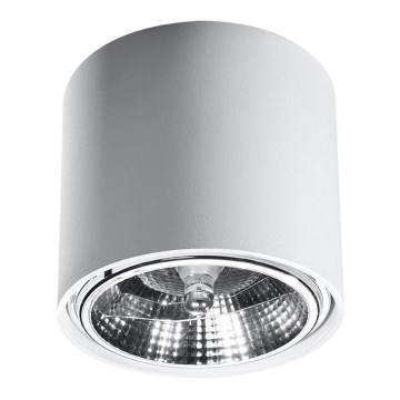 Foco TIUBE1xGU10-AR111/10W/230V