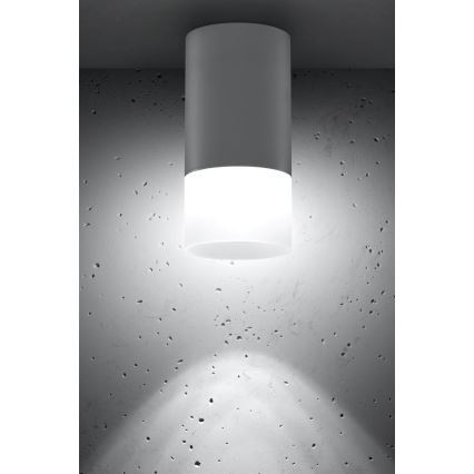 Foco TUBA 1xGU10/15W/230V gris/blanco
