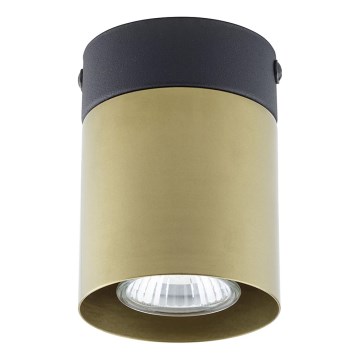 Foco VICO GOLD 1xGU10/10W/230V