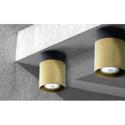Foco VICO GOLD 1xGU10/10W/230V