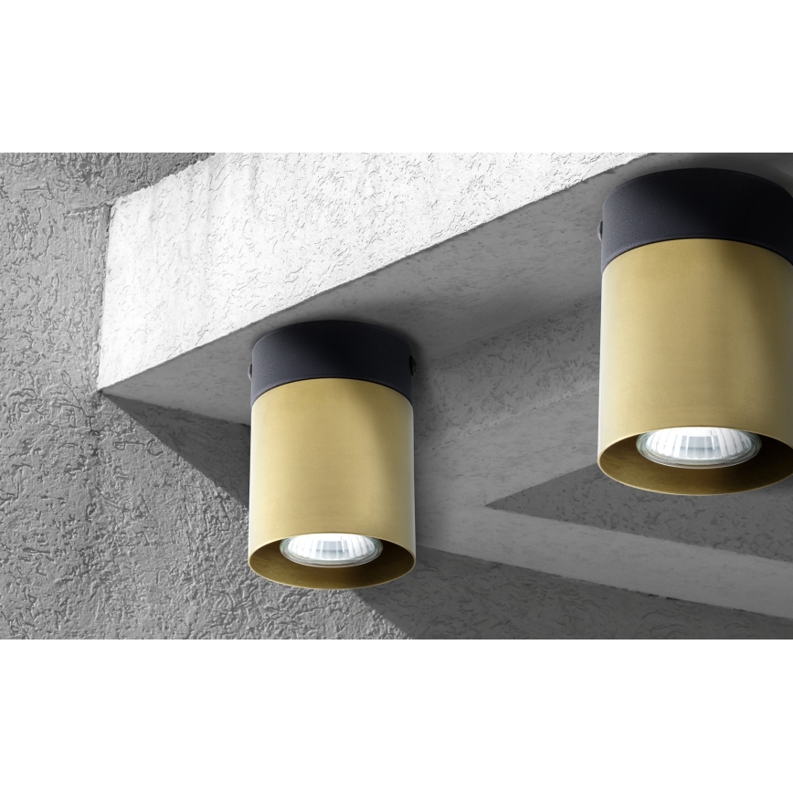 Foco VICO GOLD 1xGU10/10W/230V