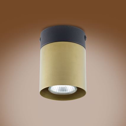 Foco VICO GOLD 1xGU10/10W/230V