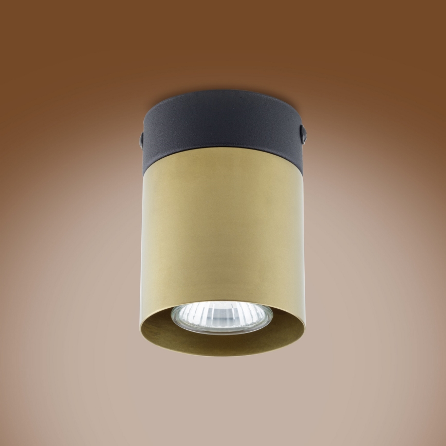 Foco VICO GOLD 1xGU10/10W/230V
