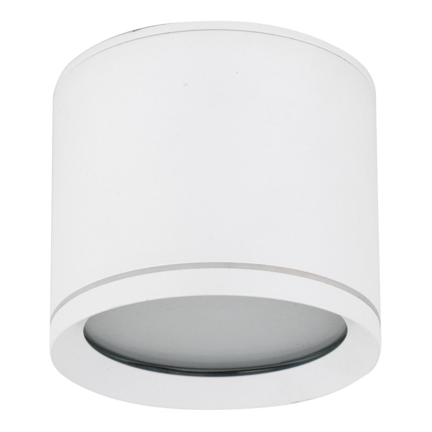 Foco VIVO 1xGX53/10W/230V 10 cm blanco