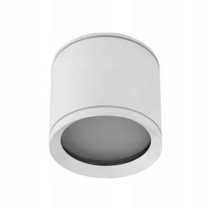 Foco VIVO 1xGX53/10W/230V 10 cm blanco