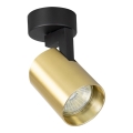 Foco VOLF 1xGU10/10W/230V dorado/negro
