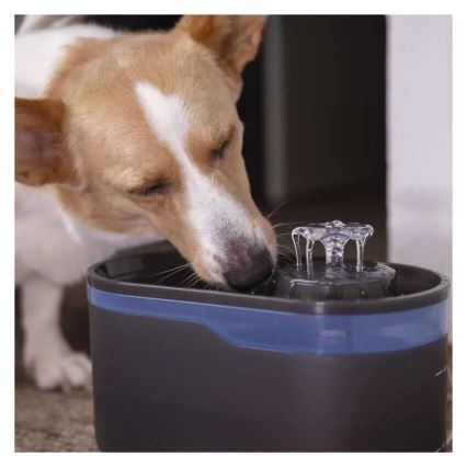 Fuente de agua para mascotas 2,6 l/5V gris