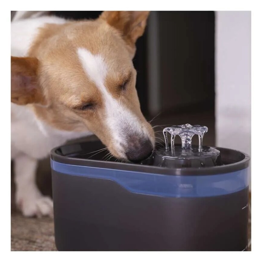 Fuente de agua para mascotas 2,6 l/5V gris