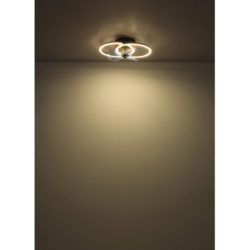 Globo - Ventilador de techo LED regulable LED/24W/230V 2700-6500K + control remoto