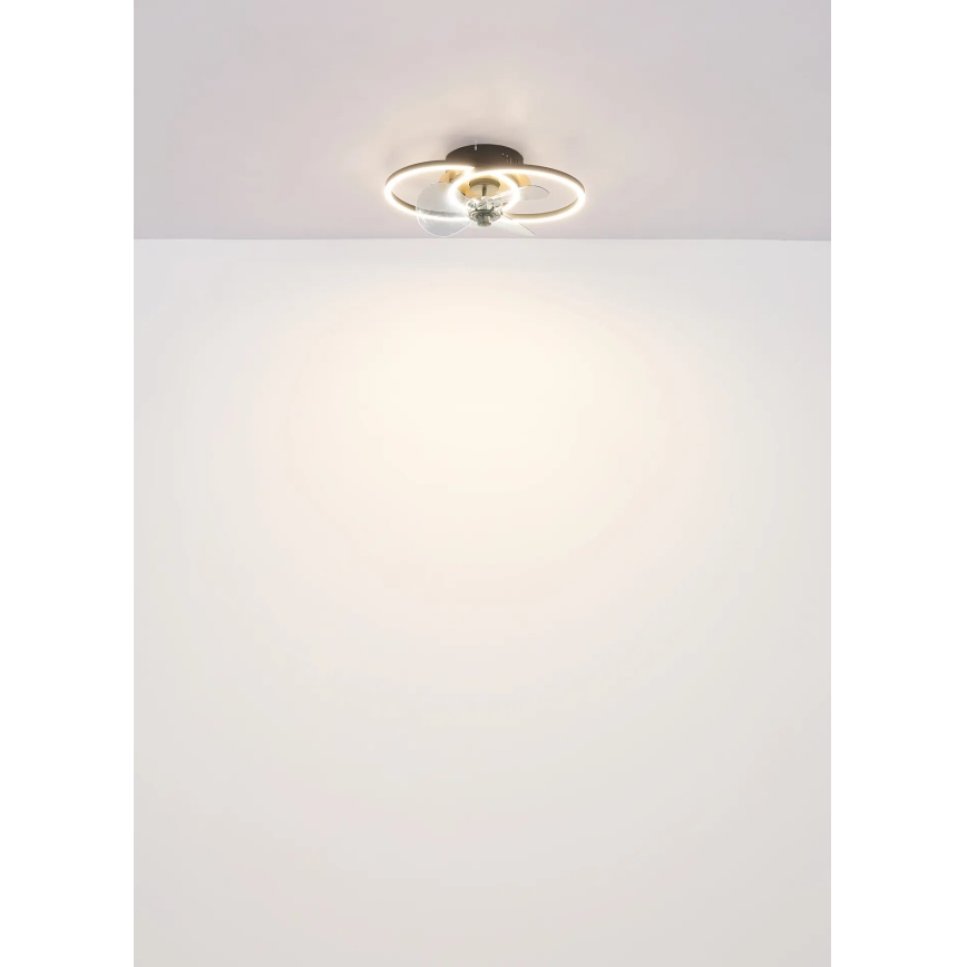 Globo - Ventilador de techo LED regulable LED/24W/230V 2700-6500K + control remoto