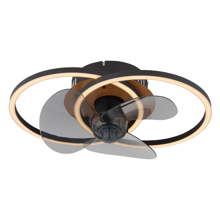Globo - Ventilador de techo LED regulable LED/24W/230V 2700-6500K + control remoto
