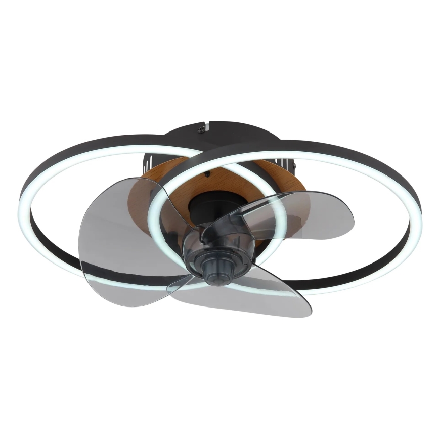 Globo - Ventilador de techo LED regulable LED/24W/230V 2700-6500K + control remoto