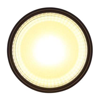 Globo - Plafón LED LED/12W/230V 3000K