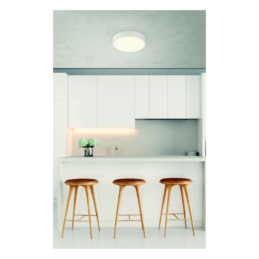Globo - LED Lámpara del baño regulable LED/22W/230V IP44