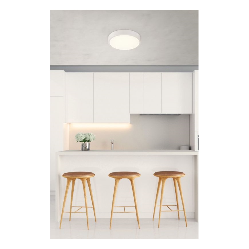 Globo - LED Lámpara del baño regulable LED/22W/230V IP44
