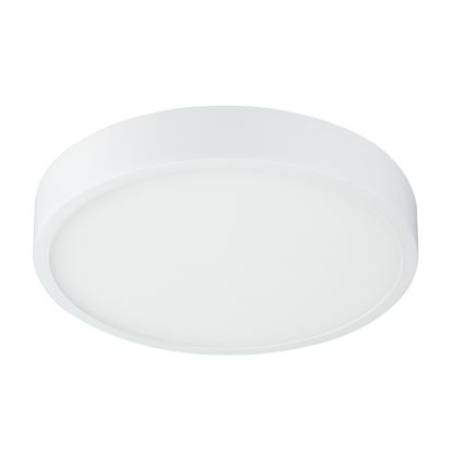 Globo - LED Lámpara del baño regulable LED/22W/230V IP44