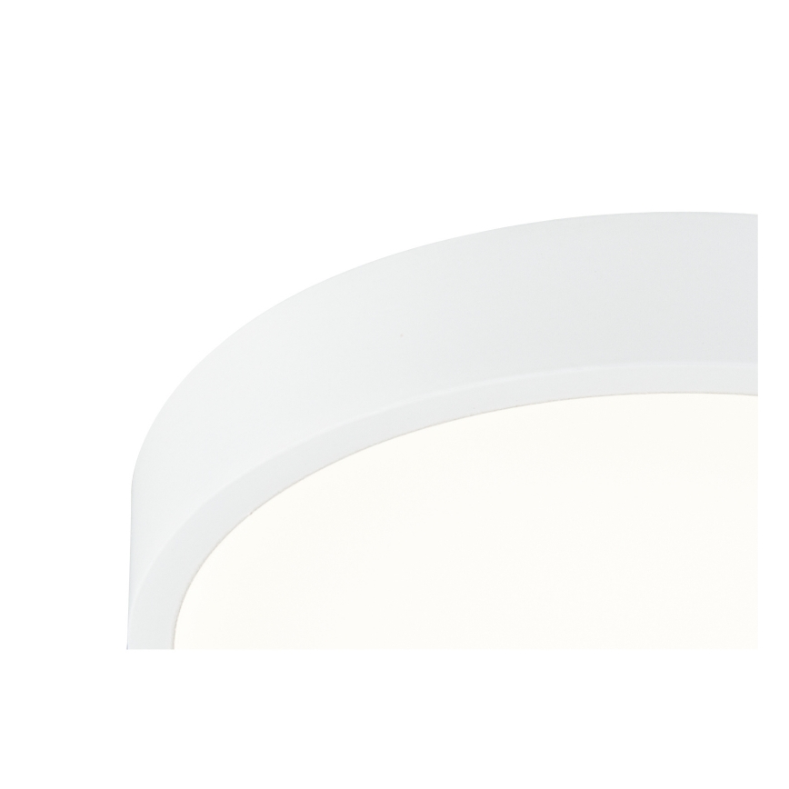 Globo - LED Lámpara del baño regulable LED/22W/230V IP44