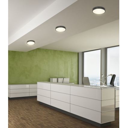 Globo - Plafón LED regulable LED/28W/230V
