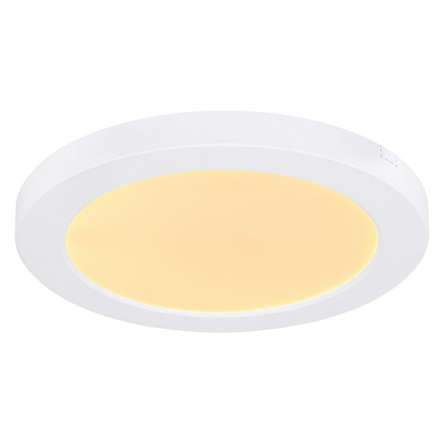 Globo - Plafón LED LED/18W/230V 3000/4000/6500K blanco