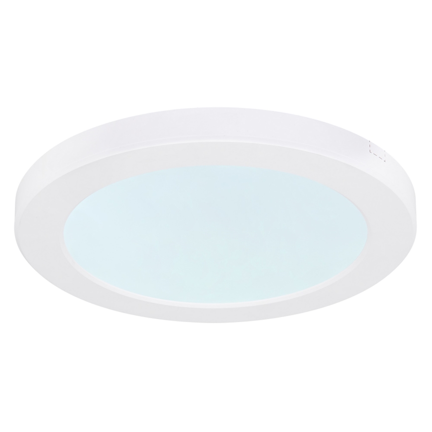 Globo - Plafón LED LED/18W/230V 3000/4000/6500K blanco
