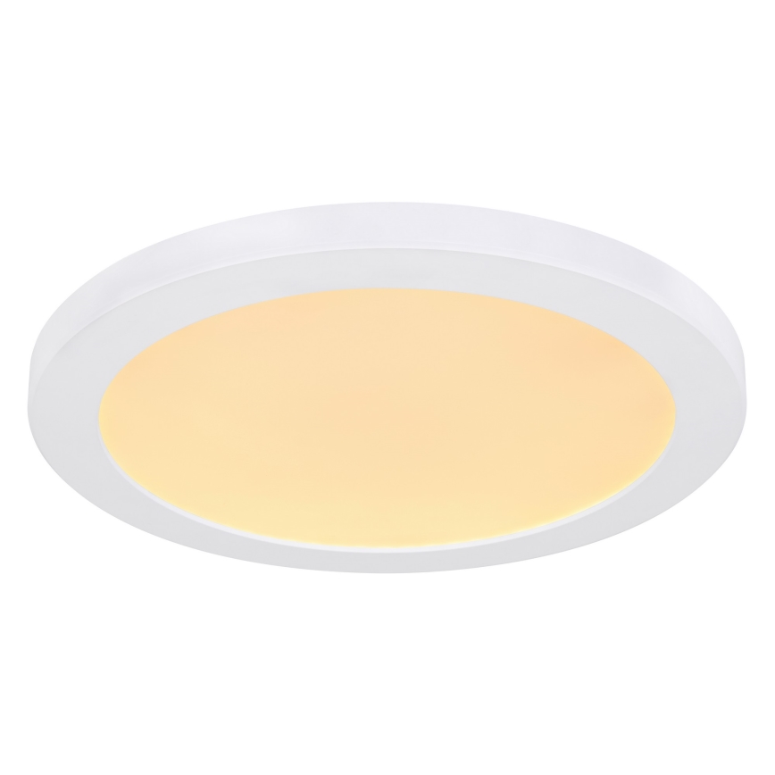 Globo - Plafón LED LED/24W/230V 3000/4000/6500K blanco