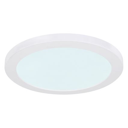 Globo - Plafón LED LED/24W/230V 3000/4000/6500K blanco