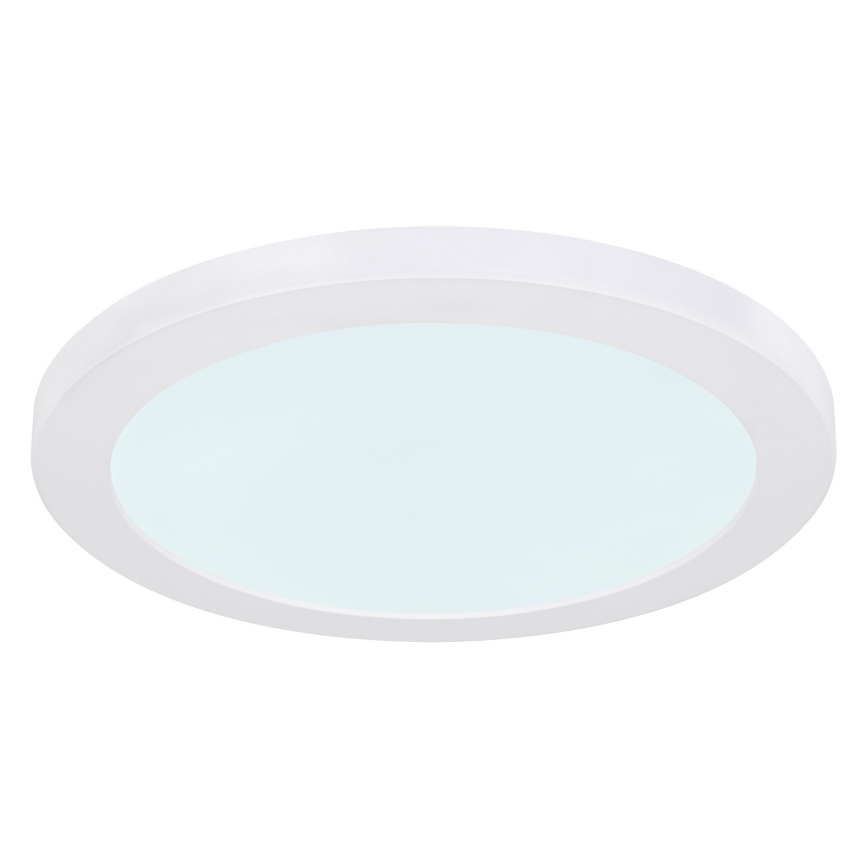 Globo - Plafón LED LED/24W/230V 3000/4000/6500K blanco