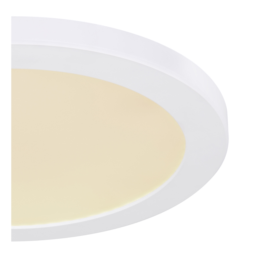 Globo - Plafón LED LED/24W/230V 3000/4000/6500K blanco
