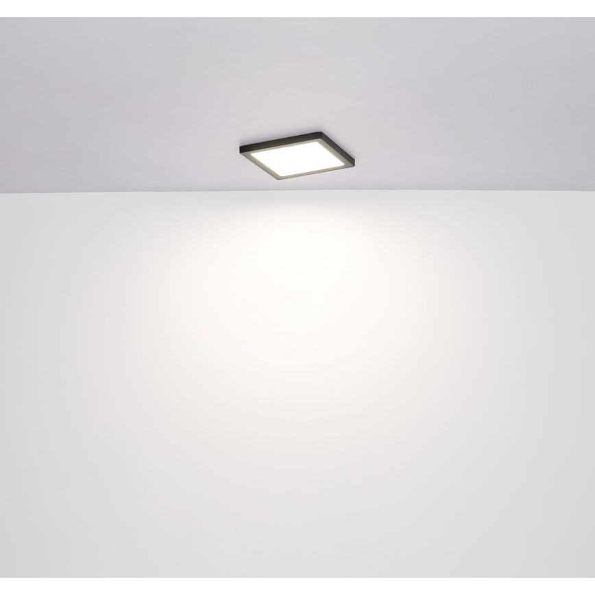 Globo - Plafón LED LED/18W/230V 3000/4000/6500K negro