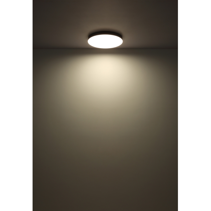 Globo - Plafón LED LED/36W/230V 3000K/4000K/6500K diá. 40 cm blanco