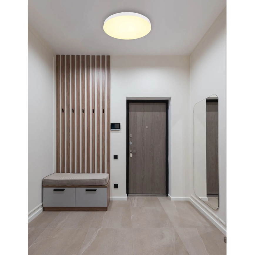 Globo - Plafón LED LED/50W/230V 3000K/4000K/6500K diá. 50 cm blanco