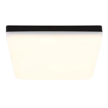 Globo - Plafón LED LED/12W/230V 4000K 22x22 cm negro
