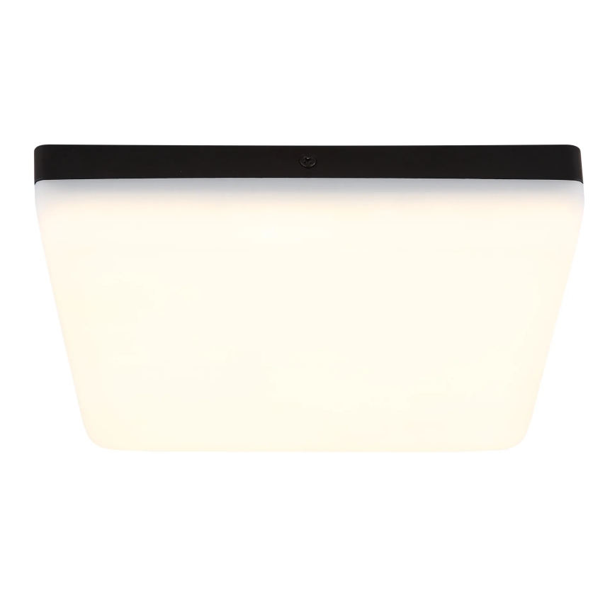 Globo - Plafón LED LED/12W/230V 4000K 22x22 cm negro