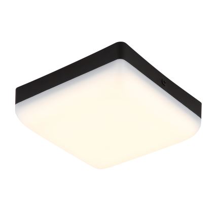 Globo - Plafón LED LED/8W/230V 4000K 12x12 cm negro