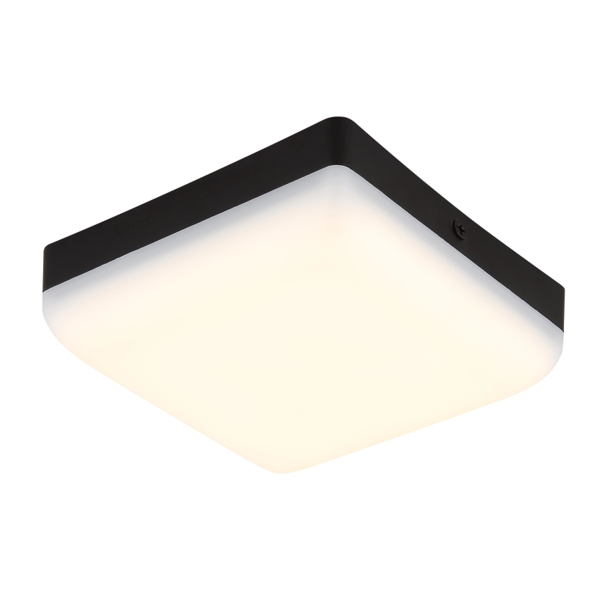 Globo - Plafón LED LED/8W/230V 4000K 12x12 cm negro