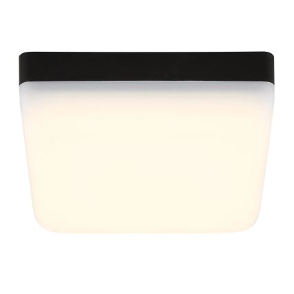 Globo - Plafón LED LED/8W/230V 4000K 12x12 cm negro