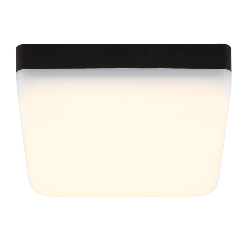 Globo - Plafón LED LED/8W/230V 4000K 12x12 cm negro