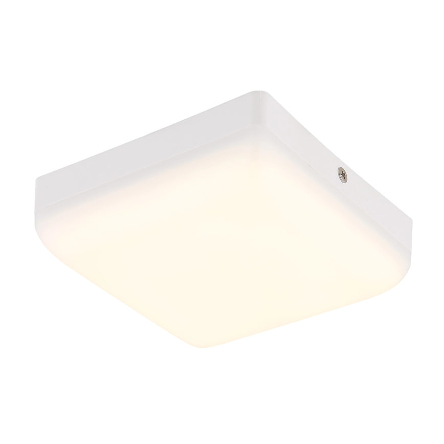 Globo - Plafón LED LED/8W/230V 4000K 12x12 cm blanco