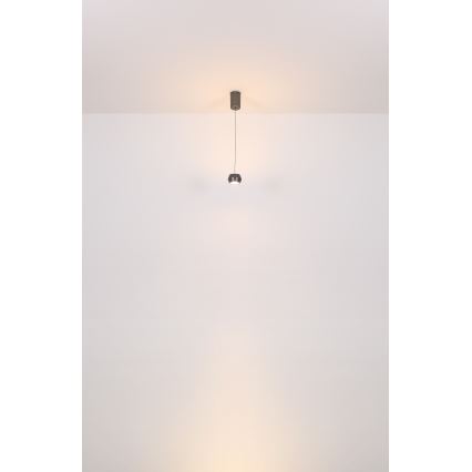 Globo - Lámpara LED colgante LED/6W/230V