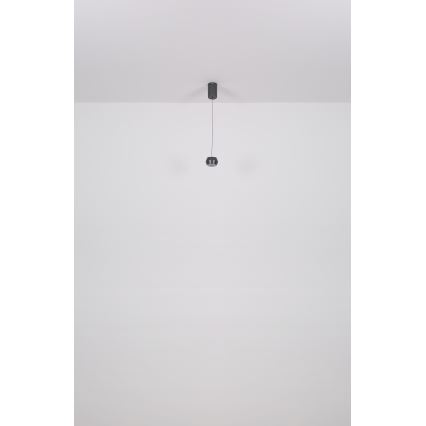 Globo - Lámpara LED colgante LED/6W/230V