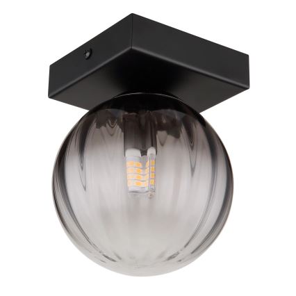 Globo - Plafón 1xG9/10W/230V