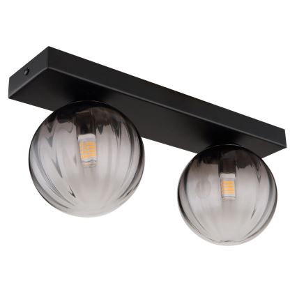 Globo - Plafón 2xG9/10W/230V