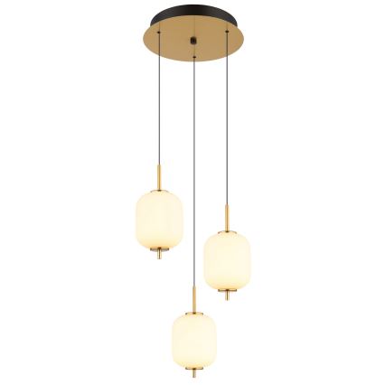 Globo - Lámpara LED colgante LED/20W/230V
