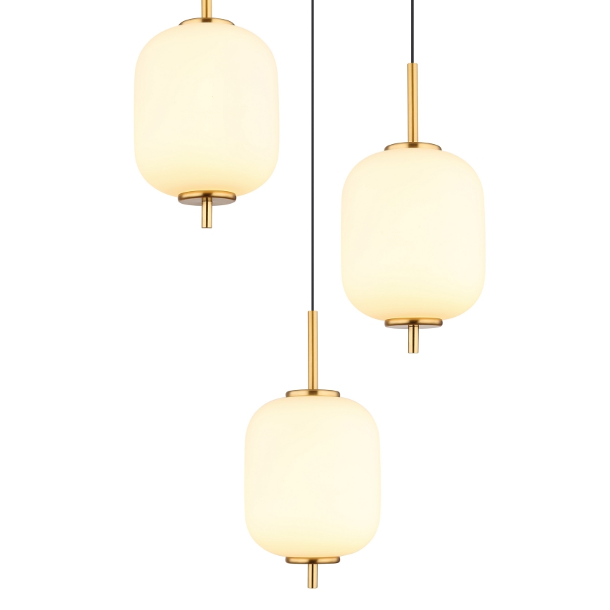 Globo - Lámpara LED colgante LED/20W/230V