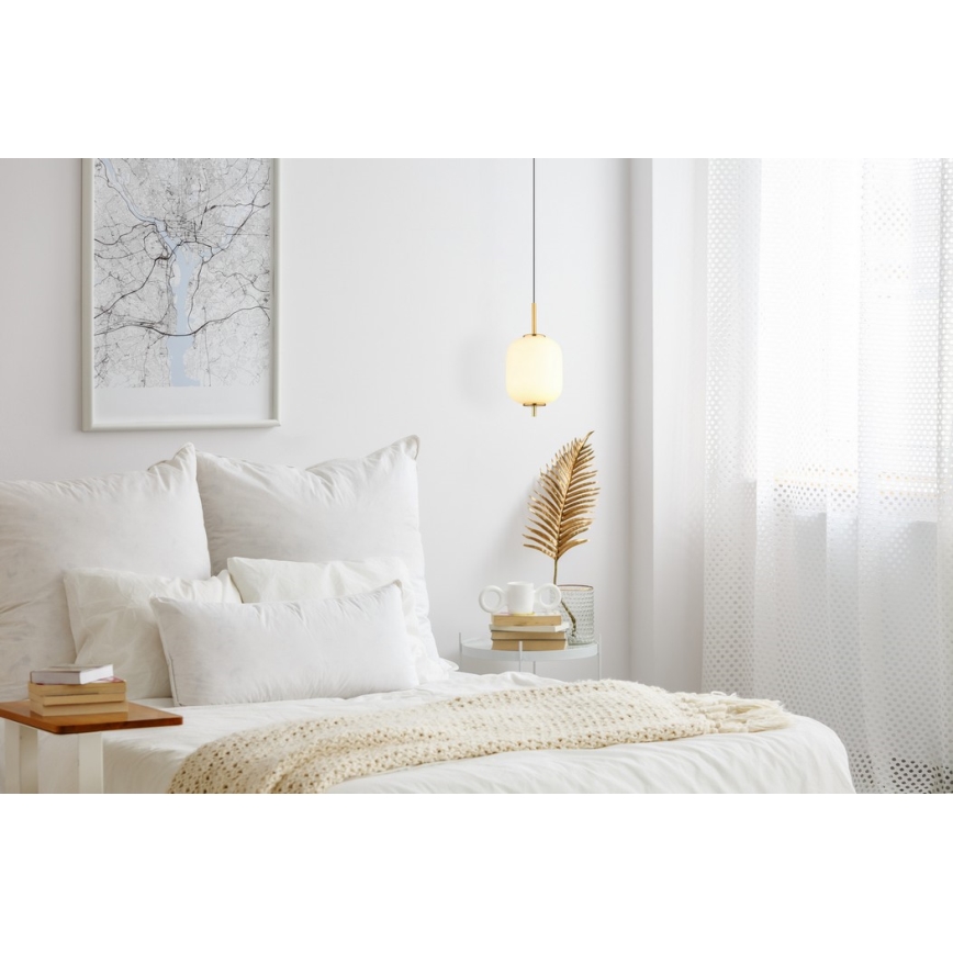 Globo - Lámpara LED colgante LED/7W/230V