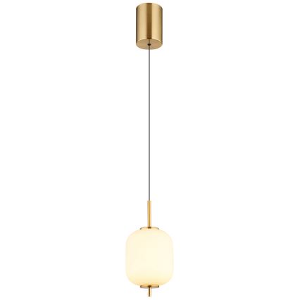 Globo - Lámpara LED colgante LED/7W/230V