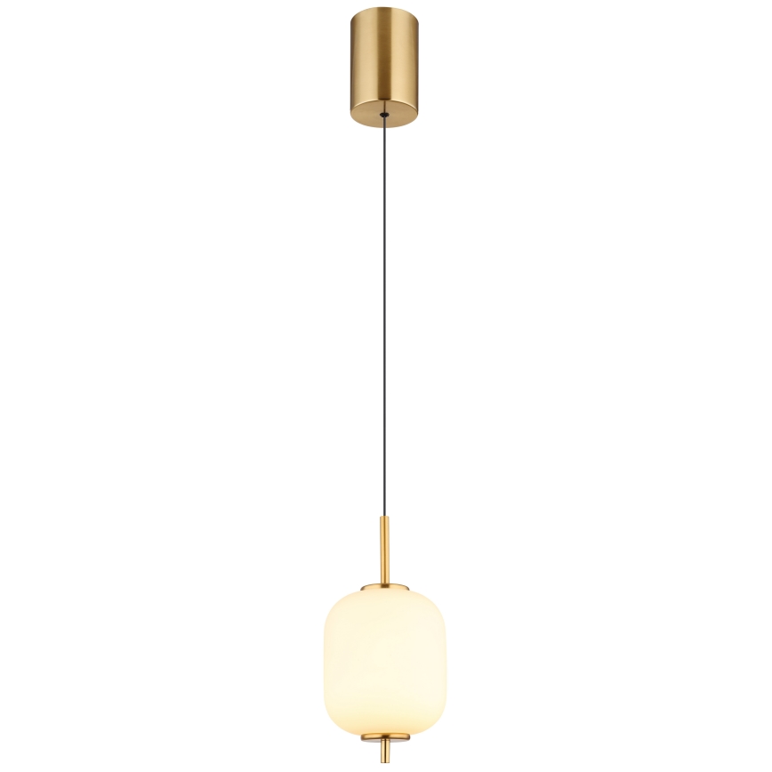 Globo - Lámpara LED colgante LED/7W/230V