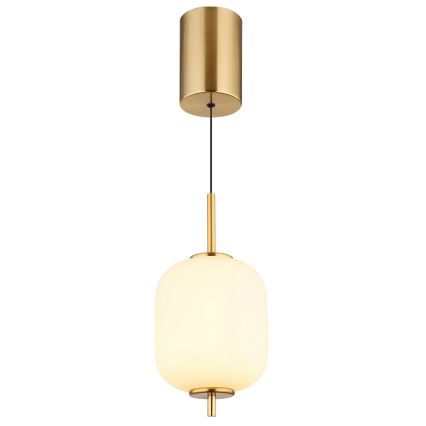 Globo - Lámpara LED colgante LED/7W/230V