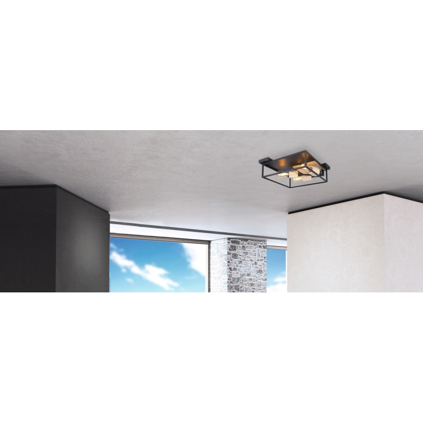 Globo - Lámpara de techo 3xE27/60W/230V