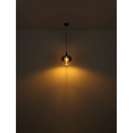 Globo - Lámpara colgante 1xE27/40W/230V diá. 24 cm negro